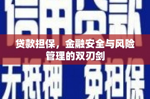 蓟县贷款担保，金融安全与风险管理的双刃剑