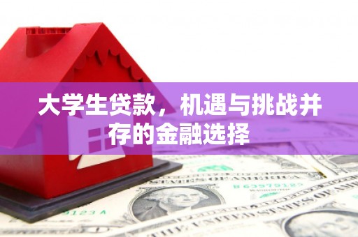 蓟县大学生贷款，机遇与挑战并存的金融选择