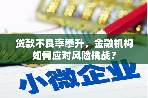 蓟县贷款不良率攀升，金融机构如何应对风险挑战？