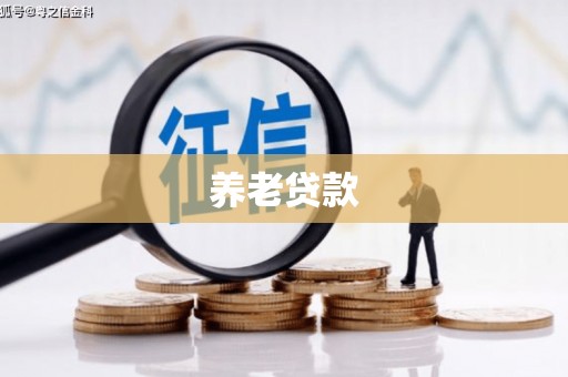 蓟县养老贷款