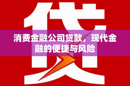蓟县消费金融公司贷款，现代金融的便捷与风险