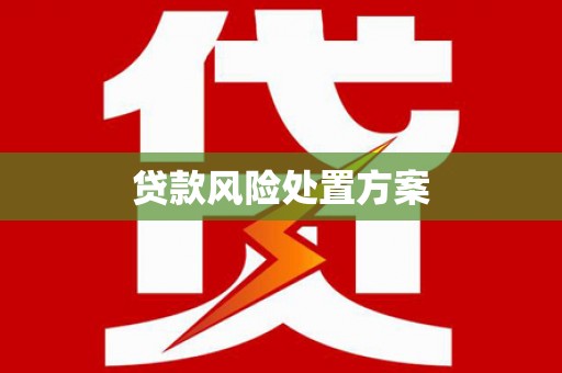 蓟县贷款风险处置方案